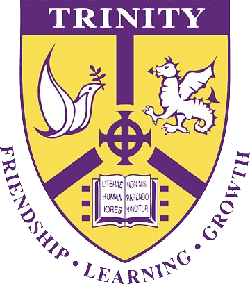 Ireland Trinity University